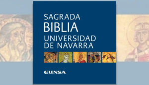 Navarra-Bibel