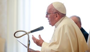 il papa all'udienza