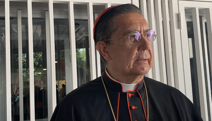 Cardenal Ayuso: «Lo que el Santo Padre y la Iglesia están haciendo por la paz es esencial»