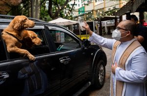 bendición-de-animales-filipinas