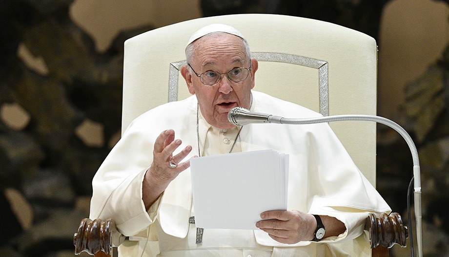 udienza del papa