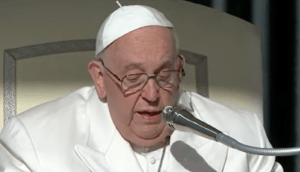 Udienza generale del Papa