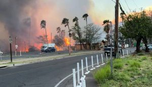 Pożary na Hawajach