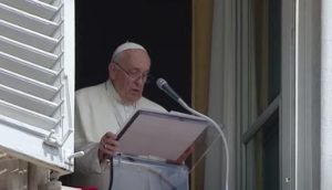 papa francesco angelus