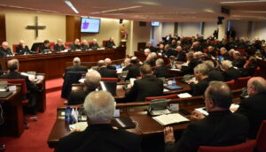 Assemblea plenaria della CEE